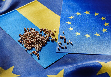 EU đạt được thỏa thuận hỗ trợ thương mại cho Ukraine