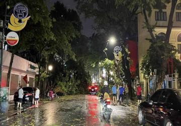 Chuyên gia hiến kế bảo vệ an toàn cây xanh trong mùa mưa bão ở đô thị